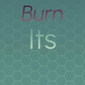 Burn Its