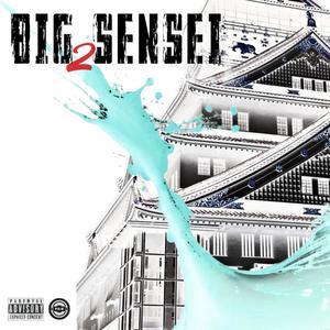 Big Sensei 2 (Explicit)