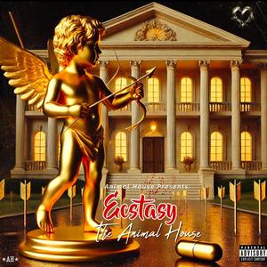 Want You (feat. Pistol Paco, Nif Monroe & MGM Bizzle) (Explicit)