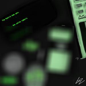 bwl (feat. younginSwisher) (Explicit)