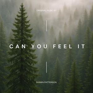 Can You Feel It