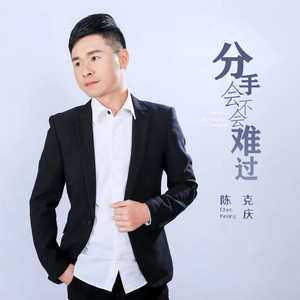 分手会不会难过 (DJ默涵版)