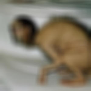 Realuglyfreestyle (feat. Big kiqo & Misery~) (Explicit)