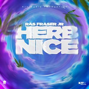Herb Nice (feat. Ajt Music Productions) (Explicit)