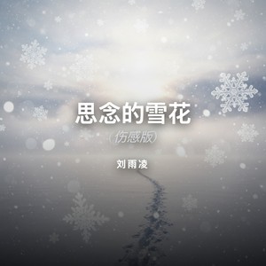 思念的雪花 (伤感版)