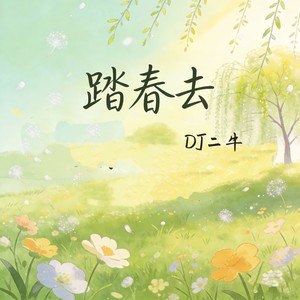 踏春去封面