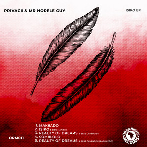 Reality of Dreams (Radio Edit)