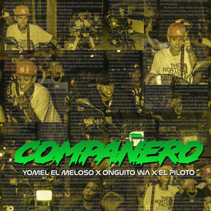 COMPAÑERO