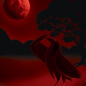 DonDolla (feat. DollaMane) (Explicit)