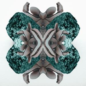 Detrás de las paredes