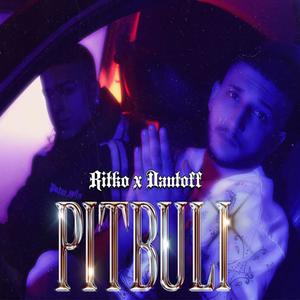 PITBULI (feat. Ritko Mdfk) [Explicit]