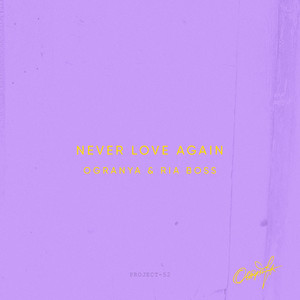 Never Love Again
