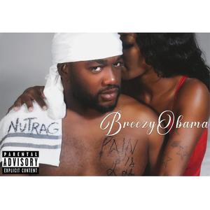 Nut Rag (Down ass Chick Parody) (Explicit)