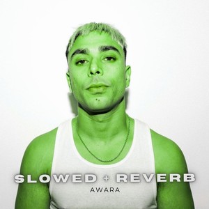 Wake Up Gurinder - Slowed & Reverb
