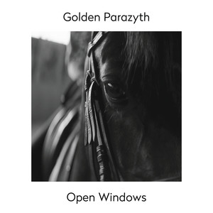 Open Windows