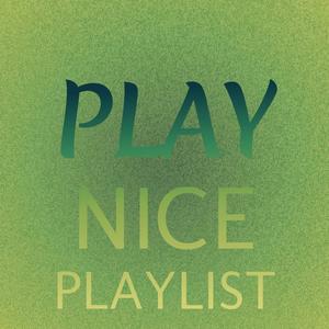 Play Nice Playlist