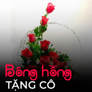 Bông hồng tặng cô