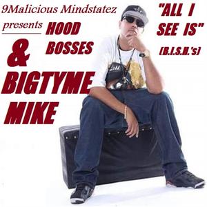 All I See Is Bish's (feat. BigTyme Mike & HoodBosses) (Explicit)