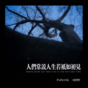 人们常说人生若只如初见