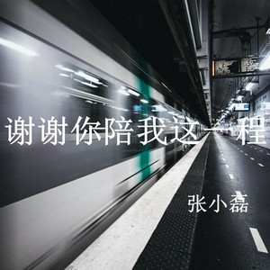 张小磊 - 谢谢你陪我这一程 (伴奏)