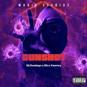 Gunshot (feat. Rico Swavey) (Explicit)