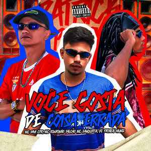 Você Gosta de Coisa Errada(feat. MC Renatinho Falcão & DJ Patrick Muniz) (Explicit)