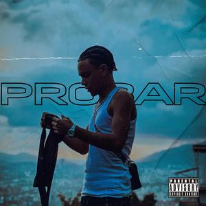 Probar (feat. daaffydog)