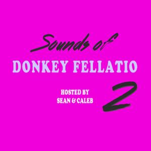 SOUNDS OF DONKEY FELLATIO 2 (Explicit)