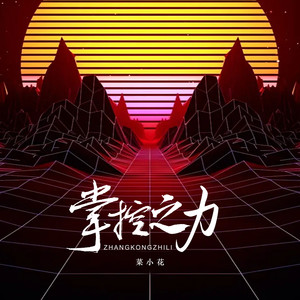 掌控之力0.8x