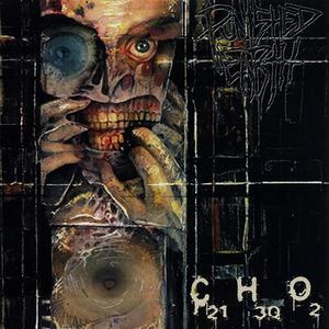 Prodeader(feat. Punished Earth)