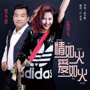 情如火爱如火 (DJ名龙版)