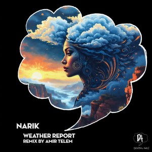 Weather Report (Amir Telem Remix)