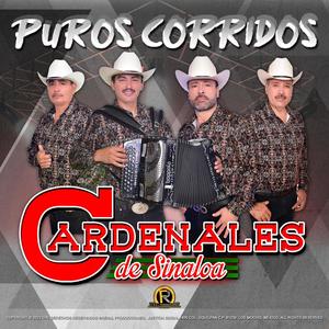 Puros Corridos Ineditos