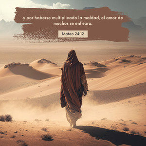 Mateo 24:12