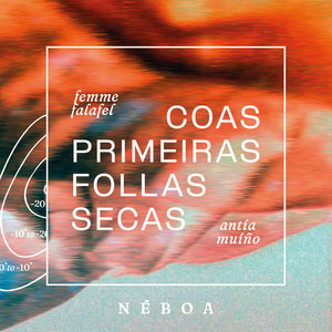 Coas primeiras follas secas