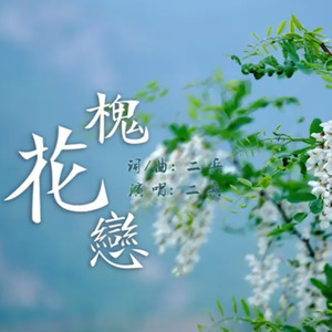 槐花恋