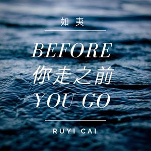 Before You Go