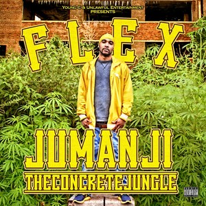 Jumanji -the Concrete Jungle