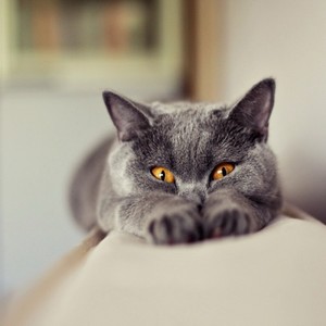 马增瑞-好想再爱你