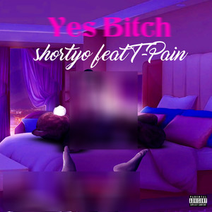 Yes ***** (feat. T-Pain) [Explicit]