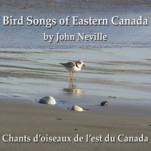 Bird Songs of Eastern Canada