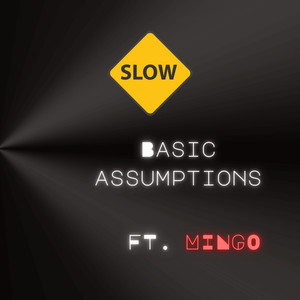 BASIC ASSUMPTIONS (SLOWED DOWN)