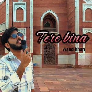 Tere bina