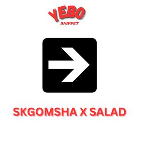 YEBO SNIPPET (feat. SALAD)