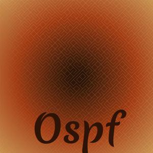 Ospf