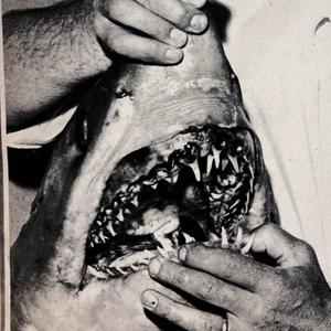 Shattered Glass (Hurts like hell) (Explicit)