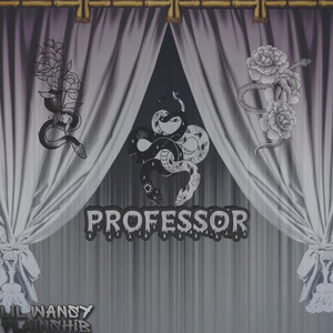Professor