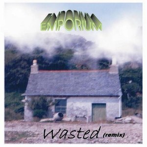 Wasted/Don't Be Alarmed (Single)