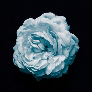 I can see (Prod.金桔ORANG3)