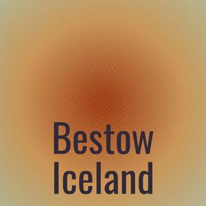 Bestow Iceland